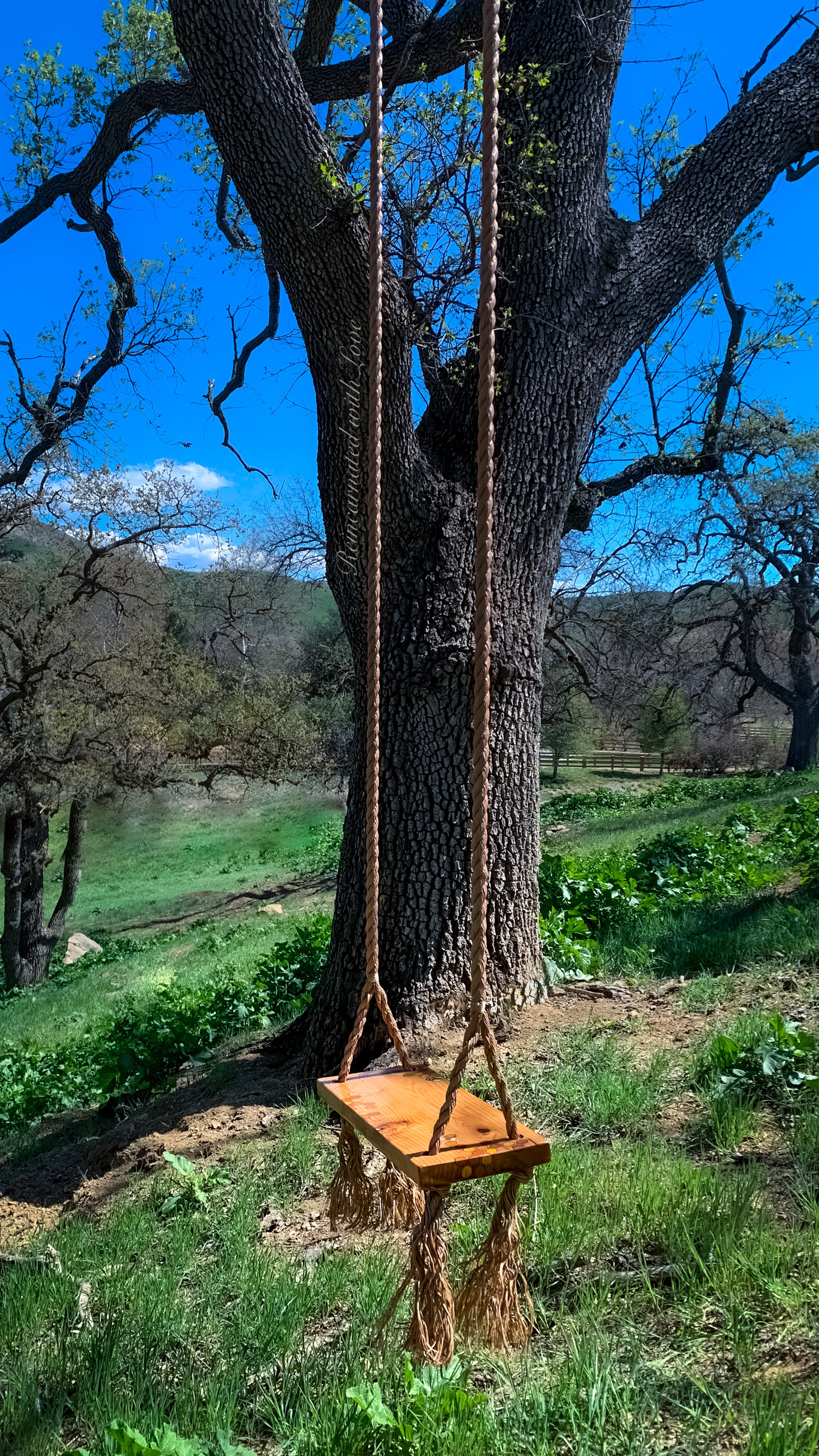 Old-Fashioned Tree Swing ~ waterproof redwood with burnt wood honeycomb & tiny bee accents
