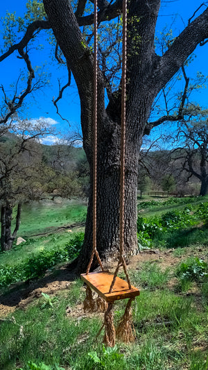 Old-Fashioned Tree Swing ~ waterproof redwood with burnt wood honeycomb & tiny bee accents